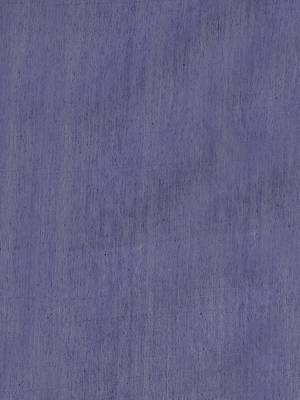 White & Navy Blue Handloom Embroidered Kathiabari Saree 5