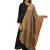 Anekaant Brown & Multi Woven Paisley Pure Wool Shawl