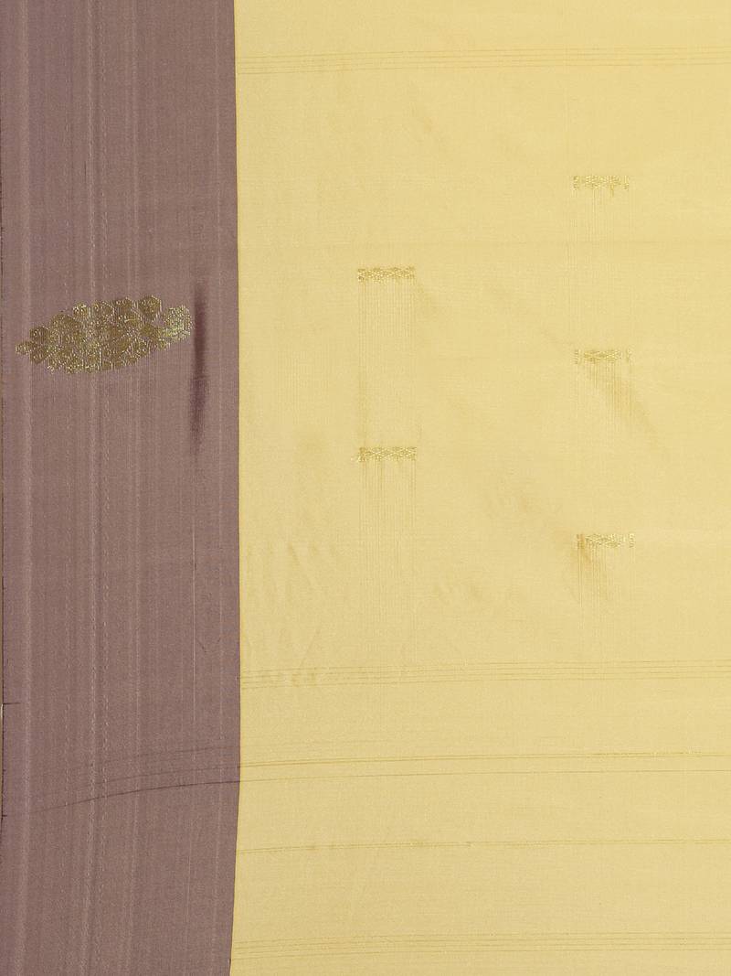 The Chennai Silks Beige Ilkal Pure Silk Saree With Running Blouse