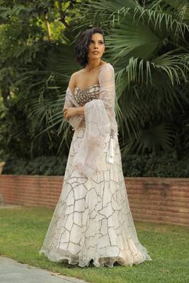 Nude Pink Sitara Web All Over And Hand Work Choli 2