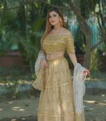 All Over Sitara Gold Lehenga 