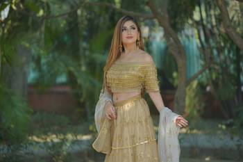 All Over Sitara Gold Lehenga  2