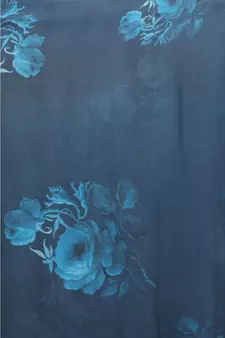 Light Blue Japan Satin All Over Printed Saree With Seprate Blouse