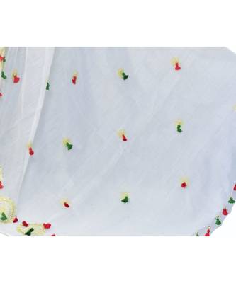 Cotton silk Handloom saree with blouse piece 3