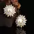 White earrings