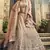 Rodeo Dust pink Swarovski, Thread & Zari embroidered with cut work Georgette semi stitched Wedding lehenga