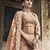 Rodeo Dust pink Swarovski, Thread & Zari embroidered with cut work Georgette semi stitched Wedding lehenga