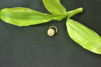 Designer Gold Plated cubic zirconia nose ring or nose pin 2