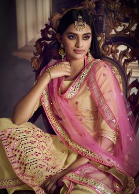 Beige embroidered organza salwar 3
