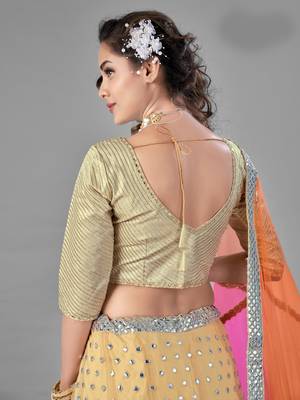 Bewitching Beige zari embroidered with plastic mirror work net Semi Stitched wedding Lehenga 4