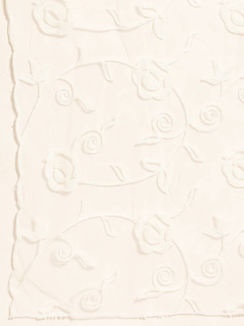 Saadgi Women White Net Aari Embroidery Dupatta