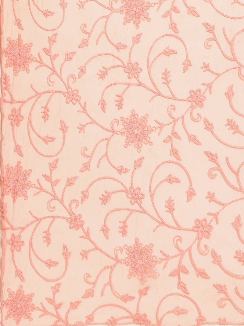 Saadgi Women Peach Net Aari Embroidery Dupatta