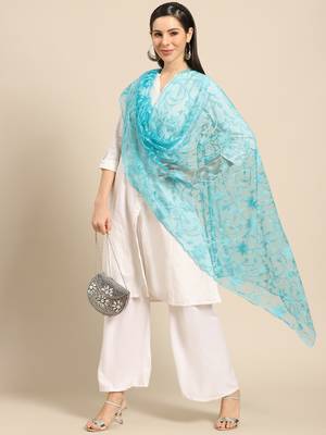 Saadgi Women Mint Green Net Aari Embroidery Dupatta 1