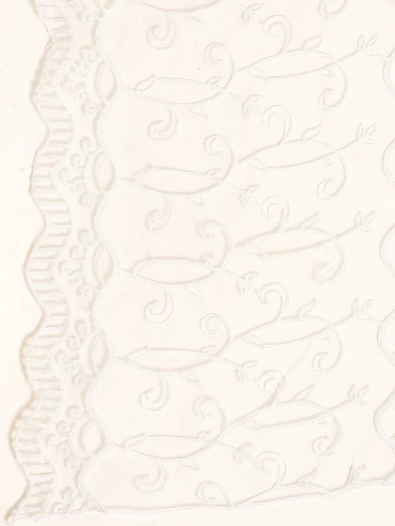 Saadgi Women Light Grey Net Aari Embroidery Dupatta