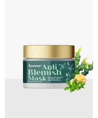 Kamree Anti Blemish Mask 3