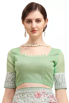 Green embroidered organza saree with blouse