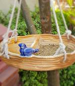 Bird Feeder