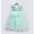 Aqua Green Net Gown