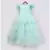 Aqua Green Net Gown
