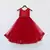 Red Net Gown