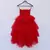 Red Net High Low Gown