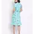 printed Blue Viscose   Dress