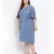 printed Blue Polyester   Dress