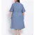 printed Blue Polyester   Dress