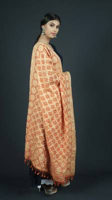 Orange Banarasi Cotton Silk bandhej Dupatta 2