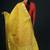 Yellow Banarasi Pure Chanderi Silk Jaamdani Dupatta