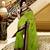 Parrot Green plain georgette saree with blouse
