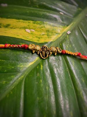 Alloy Yellow Gold Red gold_plated 1 Rakhi 1