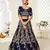Amazing Navy-Blue Heavy Embroidered Velvet Wedding Bridal Lehenga Choli with Dupatta