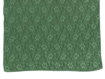 Green brasso brasso saree with blouse 5