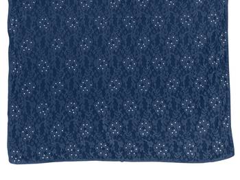 Blue brasso brasso saree with blouse 5