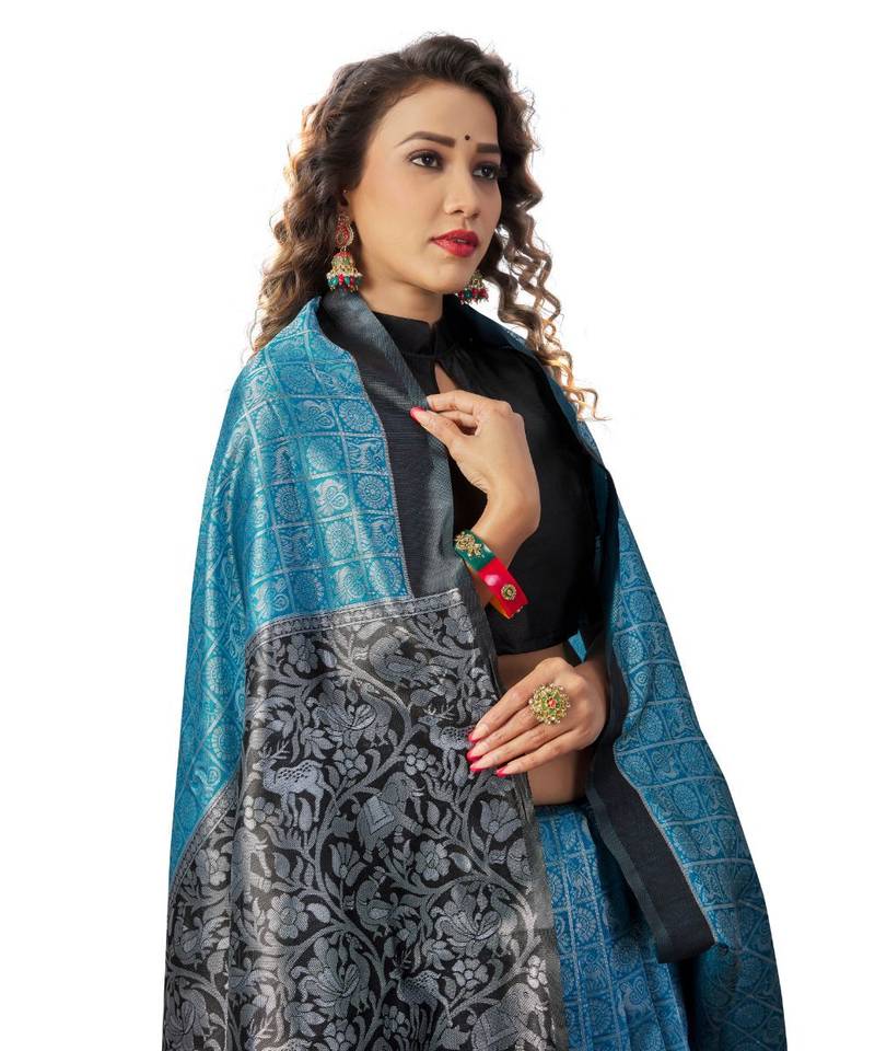 FIROJI BLACK Banarasi Jacquard  Saree With Blouse