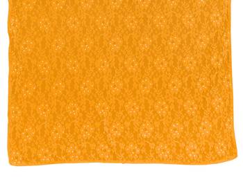 Yellow brasso brasso saree with blouse 5