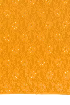 Yellow brasso brasso saree with blouse