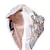 Anekaant Off-White & Multi Floral Embellished Satin Hair Band
