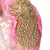 Anekaant Pink & Gold Tropical Embellished Satin Hair Band