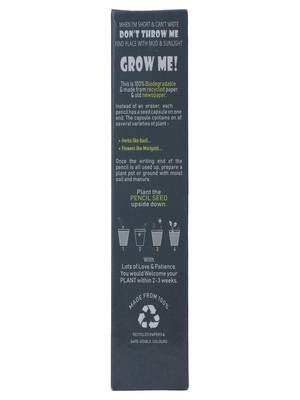 INDIBAM's Premium Plantable Recycled News paper Pencils Seed Paper Pencils Eco friendly Gifts (Pack of 10) 7