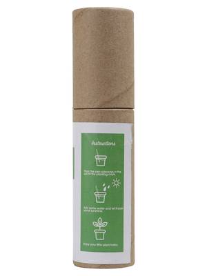 INDIBAM's Box of 10 Plantable Seed Pens Eco Friendly Box for Offices Recycled Paper Bulk Packaging Grow Plants from Pens 3