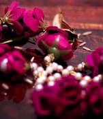 Multicolor zircon  other
