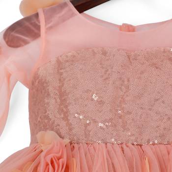 Pink Cow stylish  long sleeves dress with flower emblished 4
