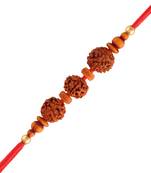 Designer  Rudraksha Rakhi Bracelet