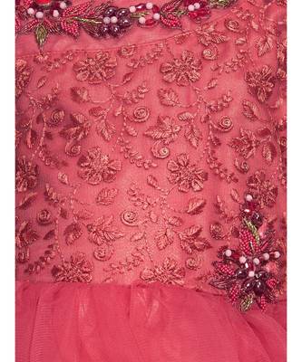 pink net  Gown 4