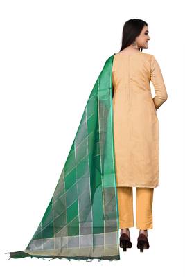 Light-peach hand embroidery faux chanderi salwar 2
