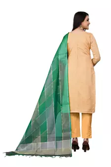 Light-peach hand embroidery faux chanderi salwar