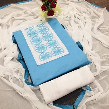 Sky-Blue Embroidered Chanderi Salwar 1