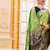 Light parrot green hand woven banarasi silk saree with blouse